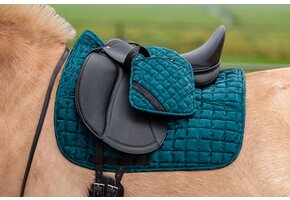 Steigbügelhalter aqua