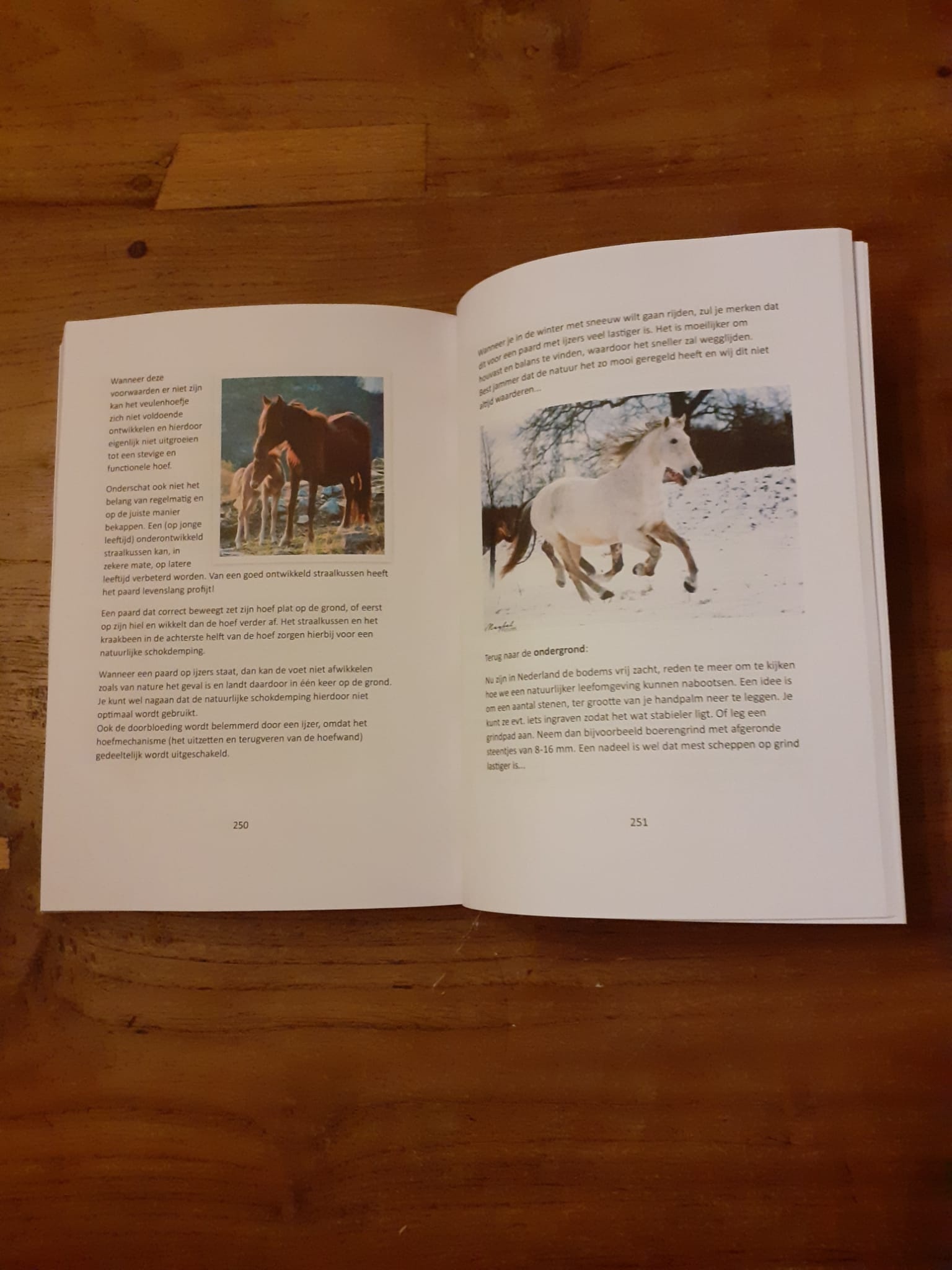 De NATUUR als krachtige basis voor jouw PAARD - book