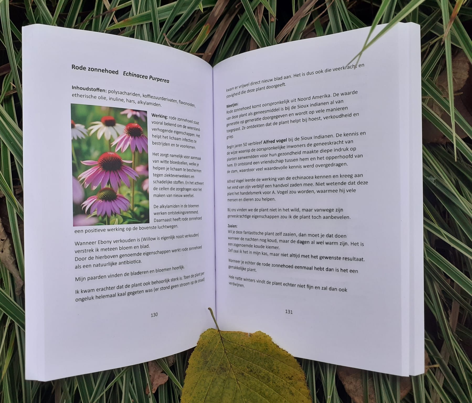 De NATUUR als krachtige basis voor jouw PAARD - boek