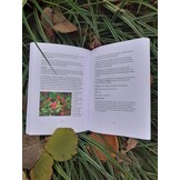 De NATUUR als krachtige basis voor jouw PAARD - boek