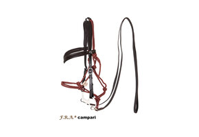 Campari trail bridle