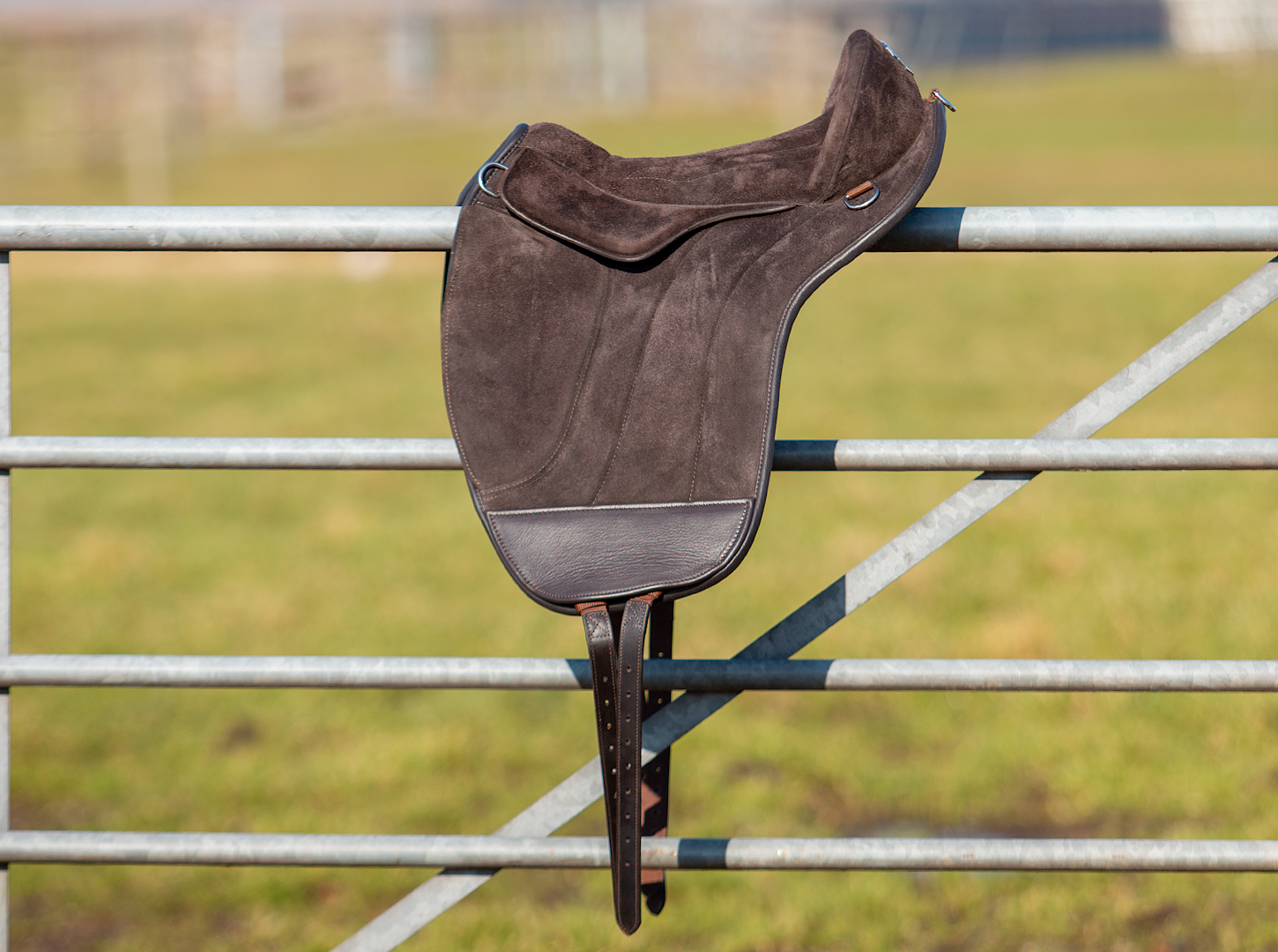 Union barebackpad dressuur