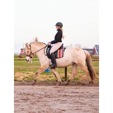 Brightstar Dressur Pad mit Einlagen Lammfelle