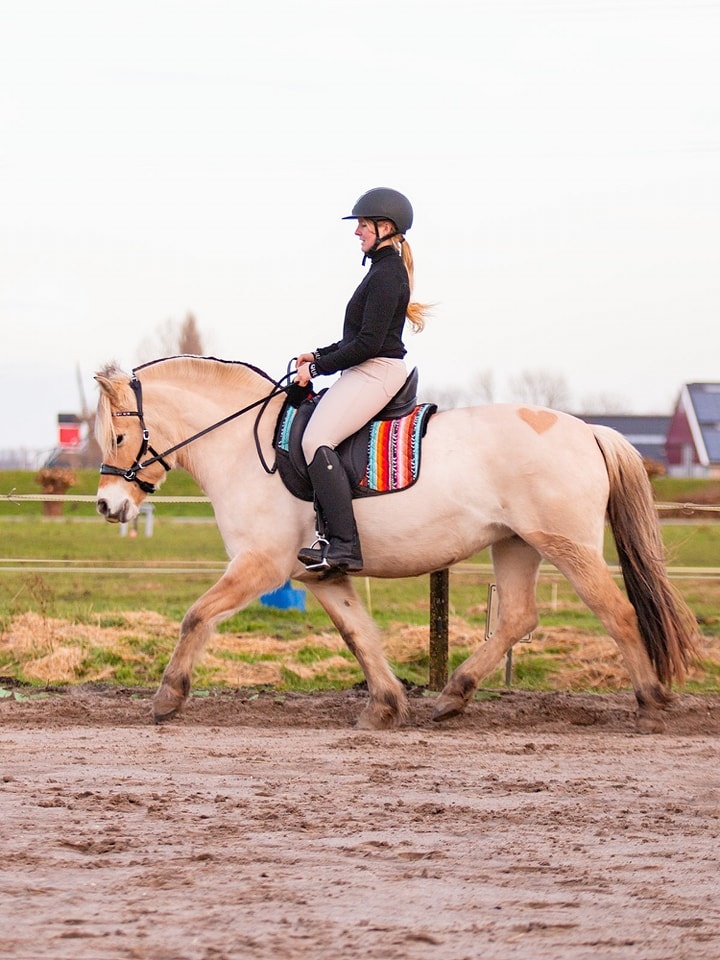 Brightstar dressuur pad met inlages lamsvel