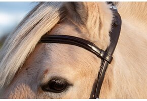 Wave browband