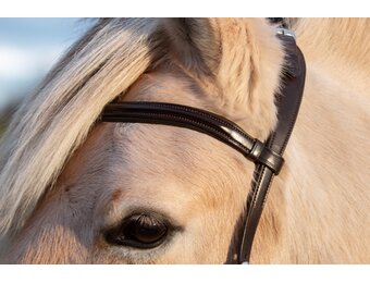Wave browband