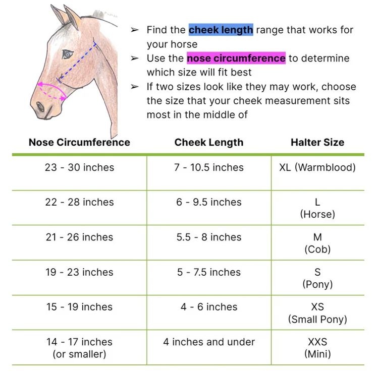 Halfter Klettverschluss schwarz fur Maulkorb
