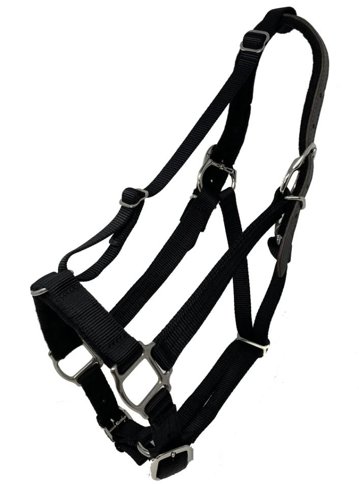 Halter Velcro closure black for muzzle
