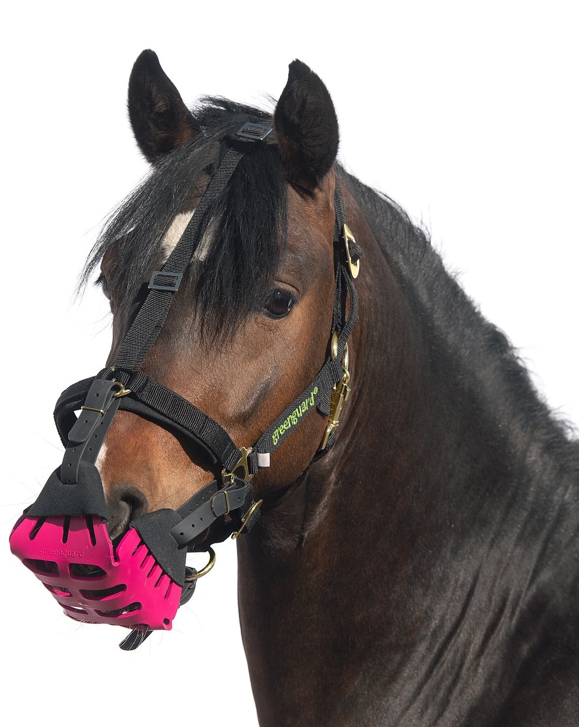 Neopreen bescherm hoesjes set voor graasmasker