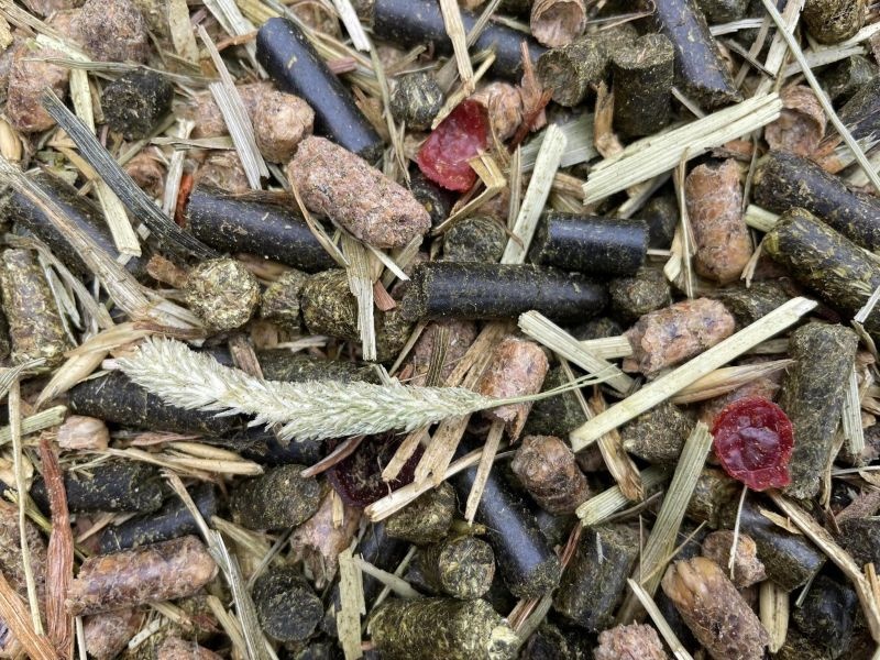 Green Power alfalfa mix