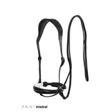 Alizee Mistral sidepull bitless bridle