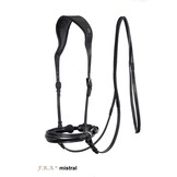 Alizee Mistral sidepull bitless bridle