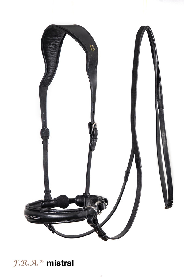 Alizee Mistral sidepull bitless bridle