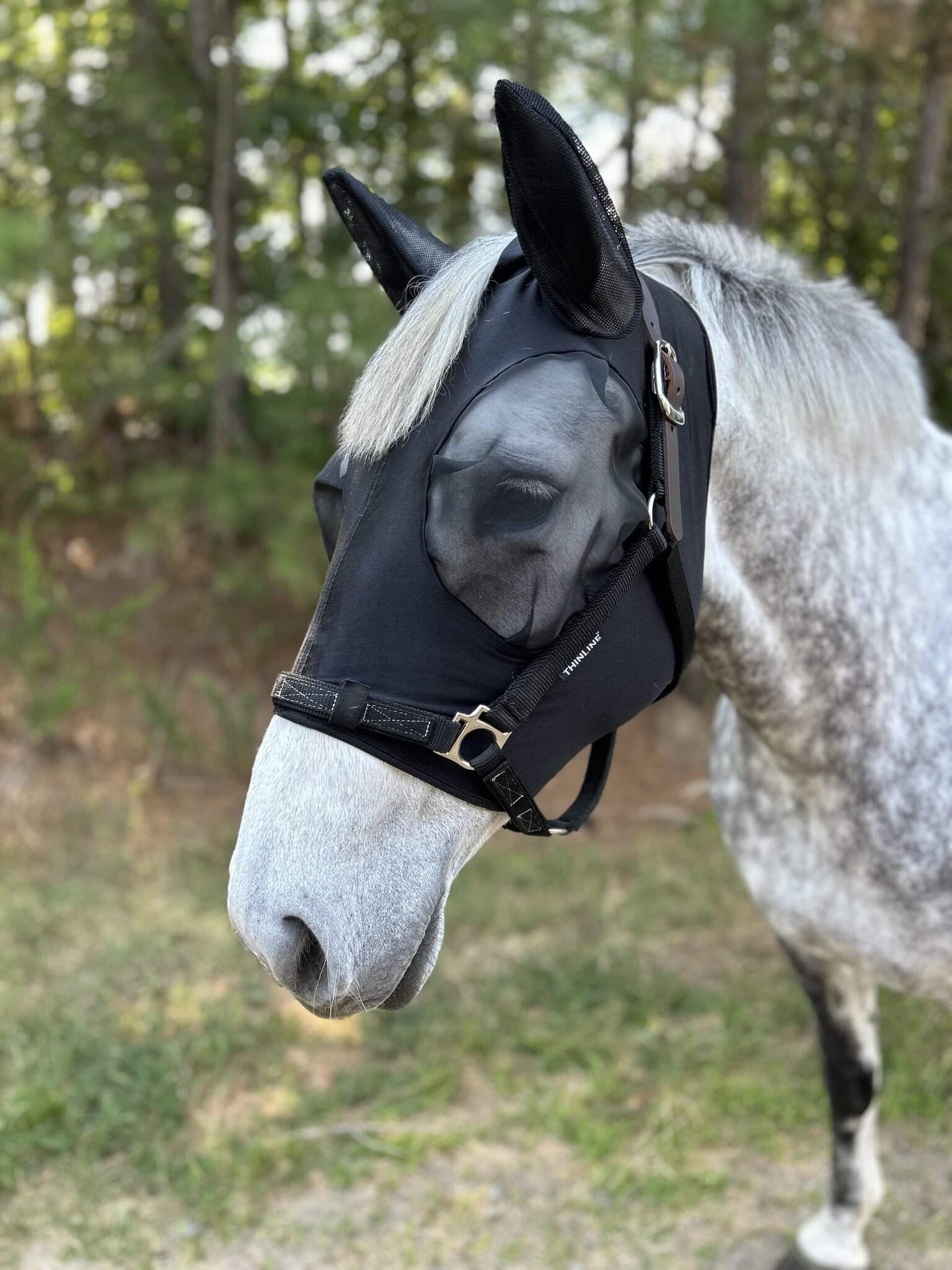 SoftFit fly mask for grazing muzzle