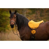 Ride on Pad Physio bareback pad