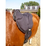 Ride on Pad Physio barebackpad