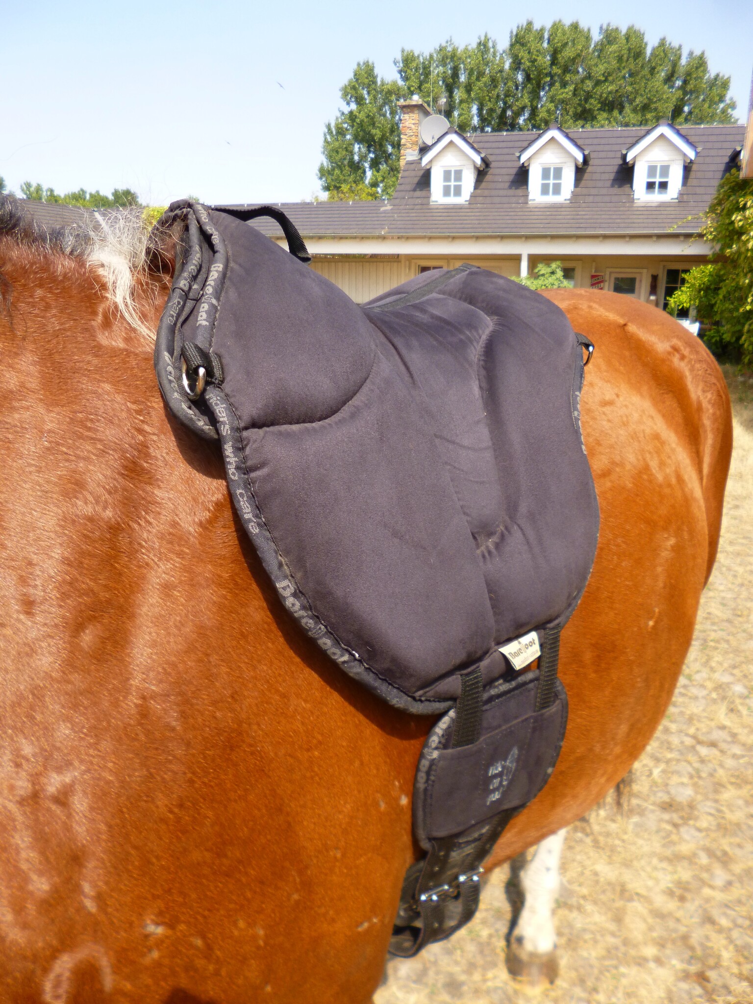 Ride on Pad Physio Reitpad