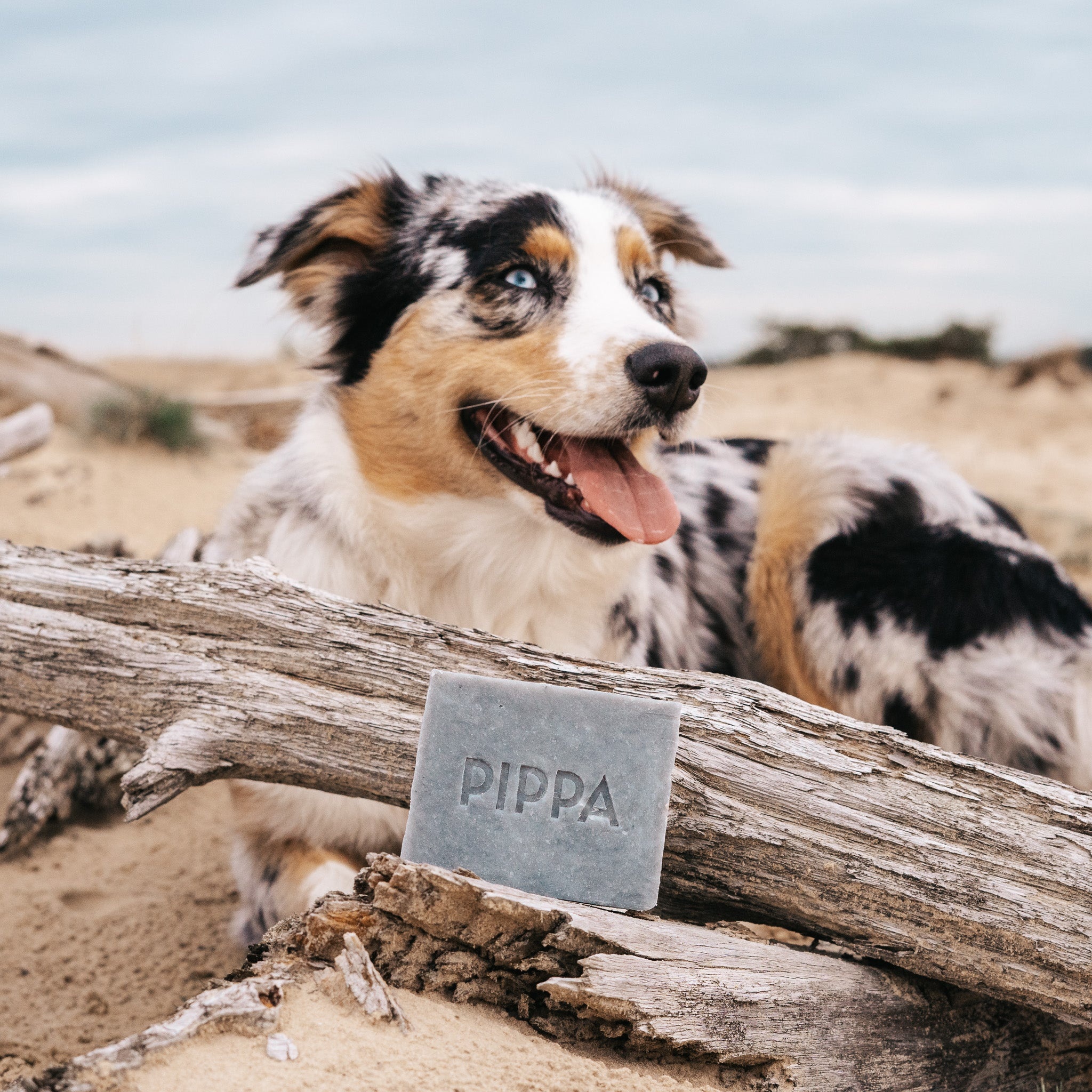 Charcoal & Peppermint shampoobar voor paard en hond