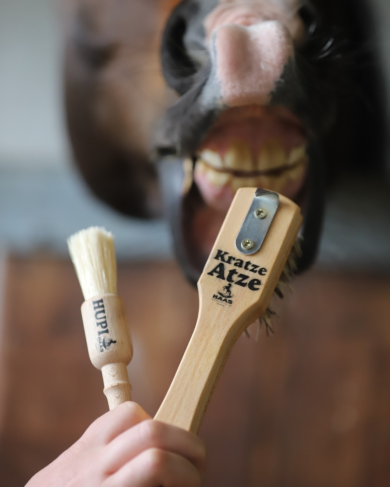 Atze kratze Hoevenkrabber hout