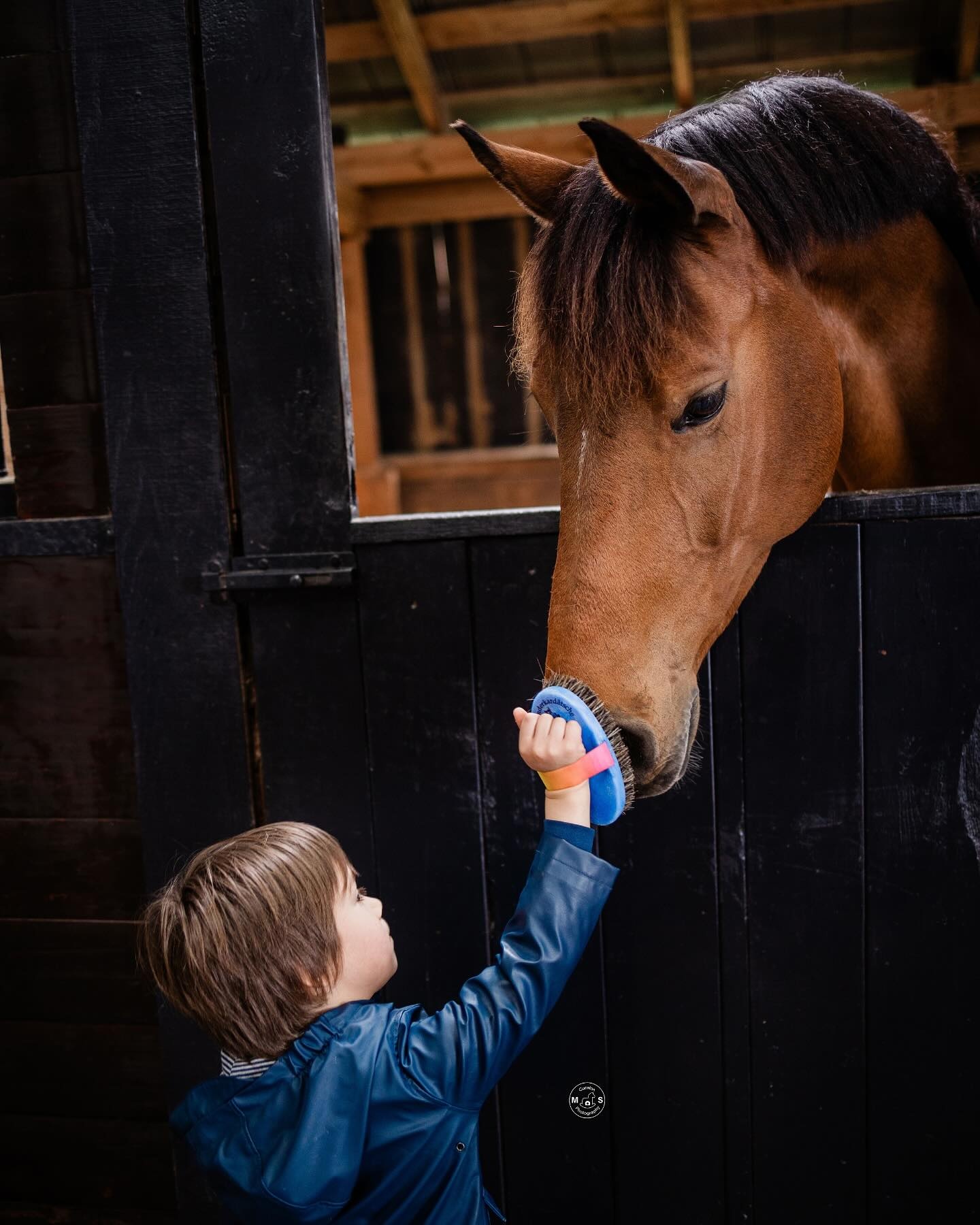 kinderborstel zacht gemaakt van kunststof