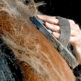 rosborstel voor de vacht New generation