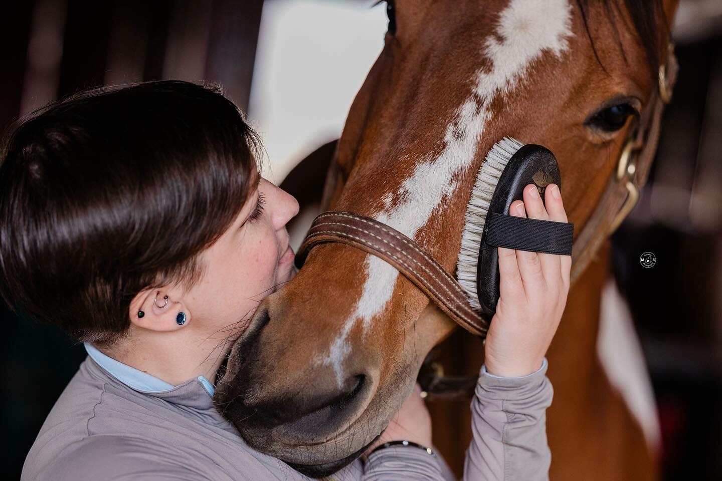 weiche Bürste für den Kop aus tierisches Material telhergestellt