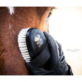 soft brush for the head made from animal material