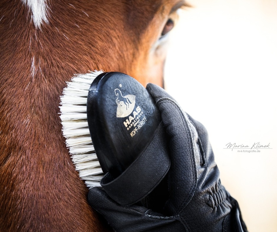 soft brush for the head made from animal material