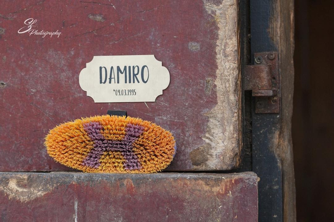 weiche Bürste Damiro aus Plastik hergestellt