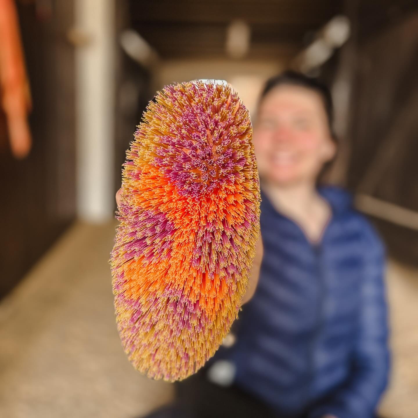 weiche Bürste Damiro aus Plastik hergestellt