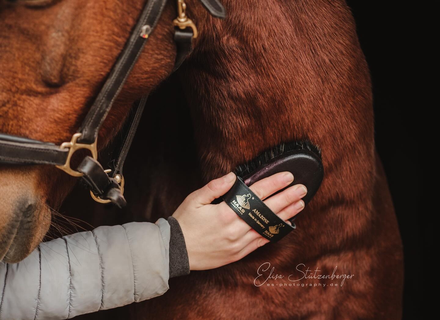 soft firmly brush Amazone made from animal material