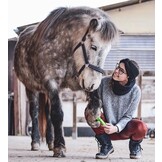 hoevenkrabber Joker gemaakt van kunststof