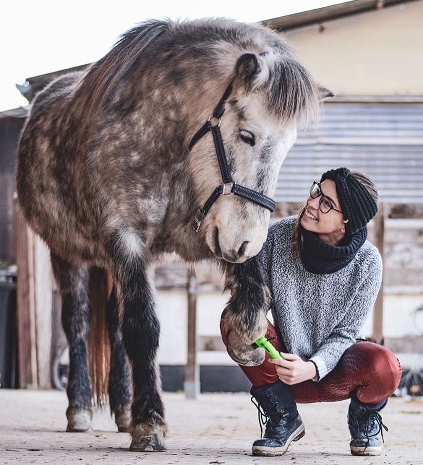 hoof pick Joker made from synthetic material