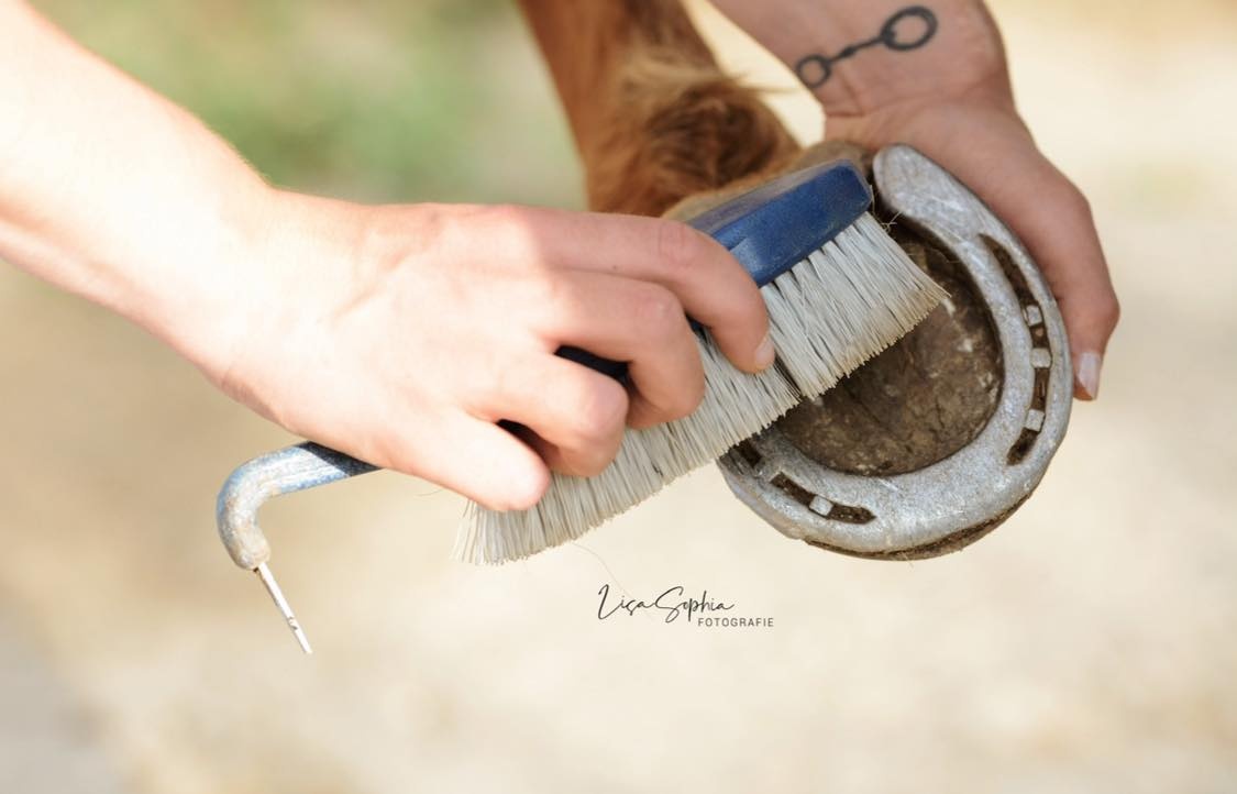 hoof pick and brush Azzuro made from synthetic material