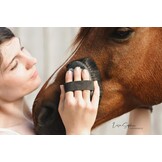 Kleine hoofdborstel Micro Diva