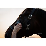 Kleine hoofdborstel Micro Diva