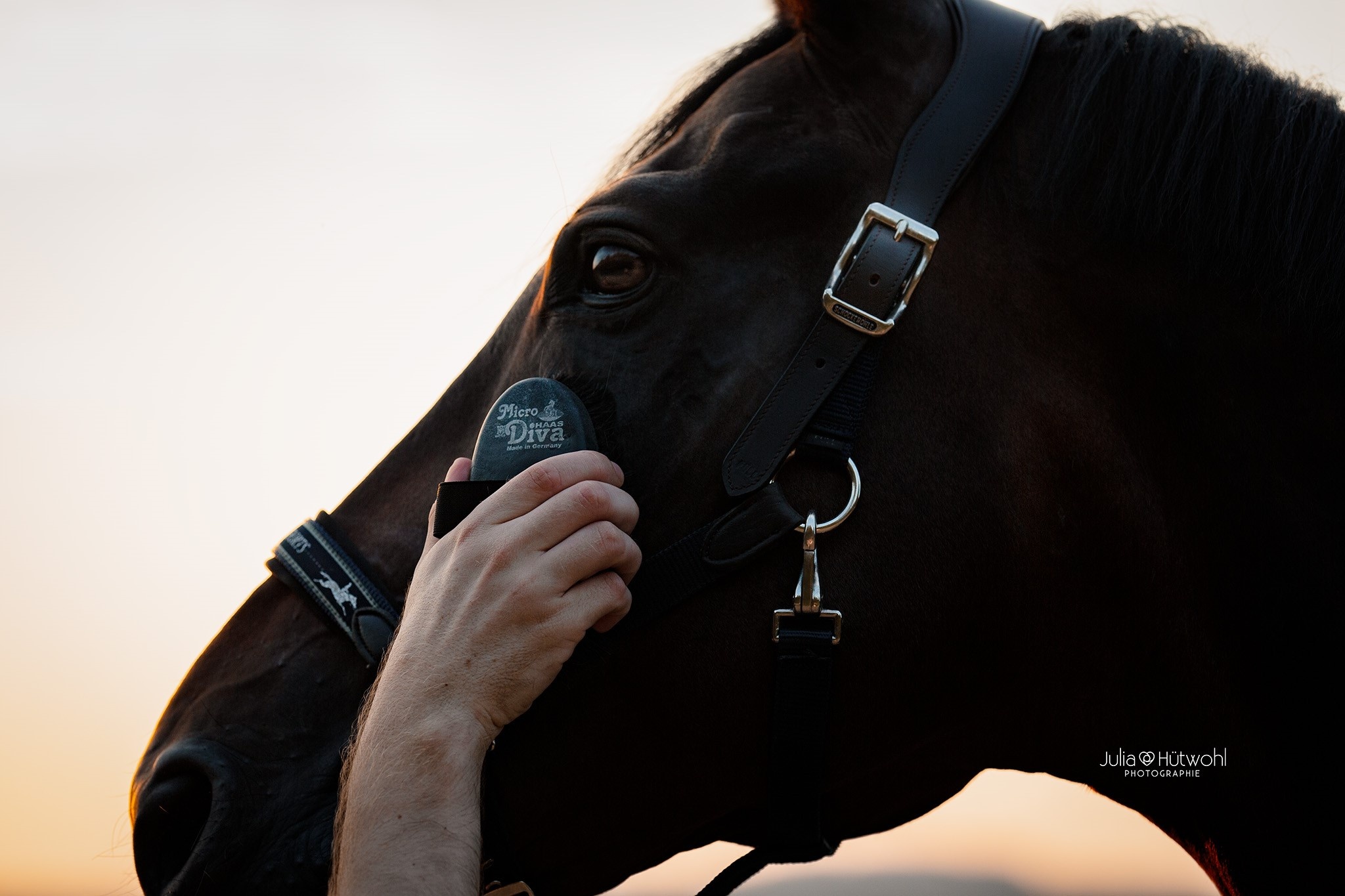 Kleine hoofdborstel Micro Diva