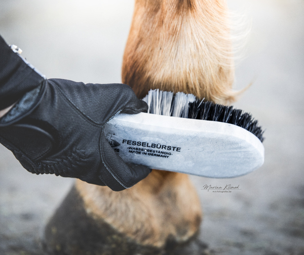 hoof and pastern brush made from synthetic material