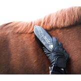 Vachtborstel Noir gemaakt met paardenharen