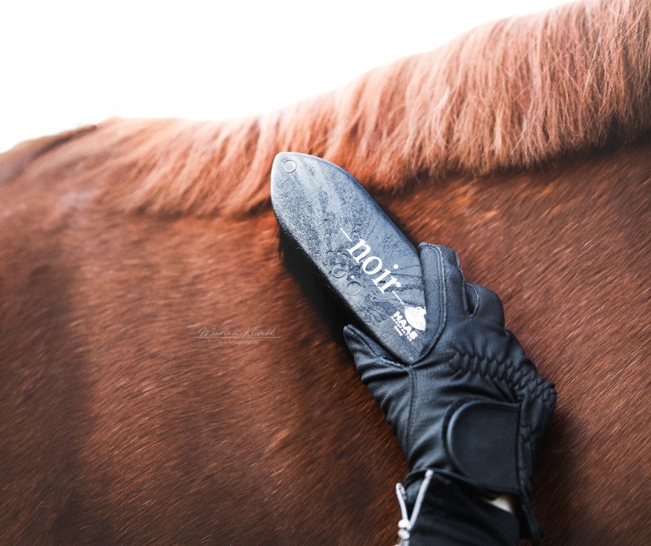 Grooming brush Noir made with horsehair