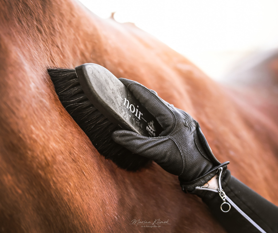 Grooming brush Noir made with horsehair