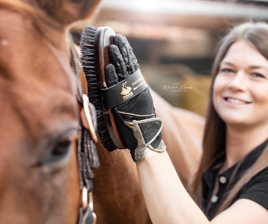 medium-hard brush Parcour made from animal material