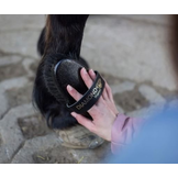 Diamond stevige borstel