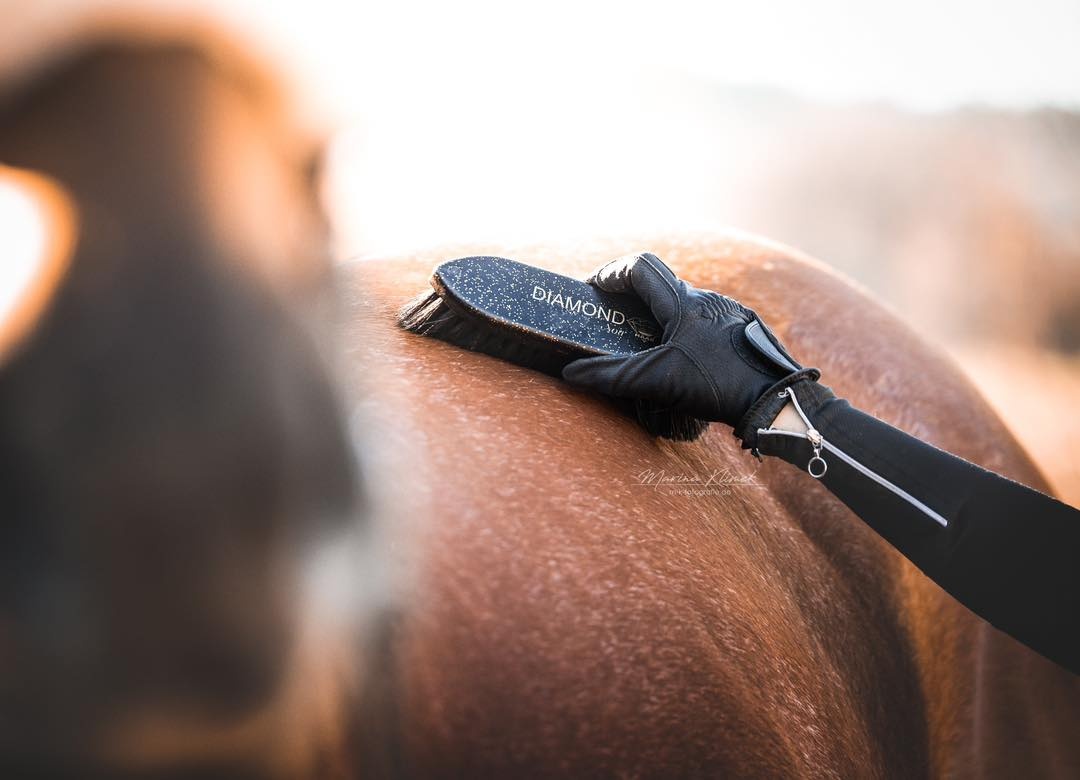 Diamond Multi borstel