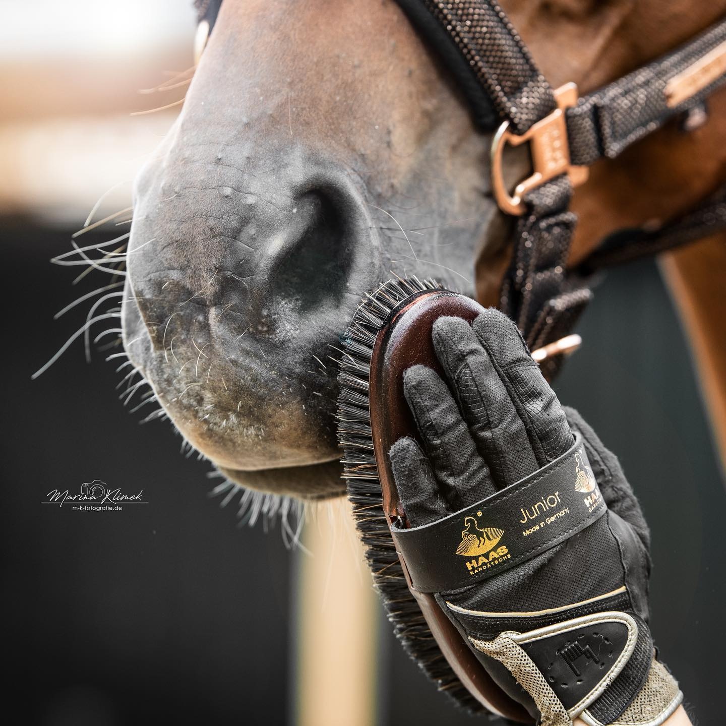 Haas weiche Bürste Junior aus tierisches Material hergestellt