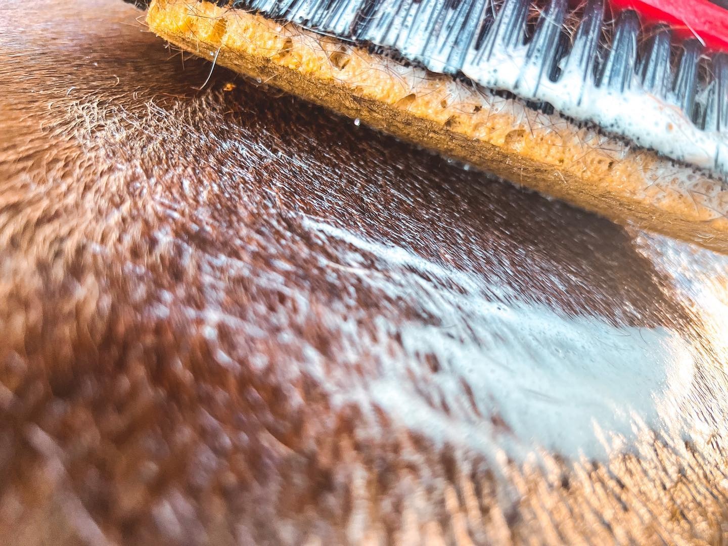 Waschbürste mit Schwamm aus Plastik hergestellt
