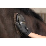 Borstel Diamond Classic