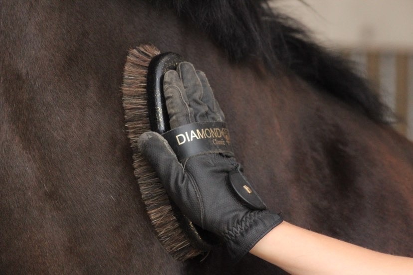 Brush Diamond Classic