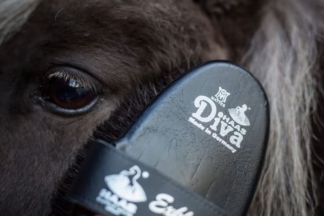 lamsvelborstel Diva Exclusive voor de vacht van het paard