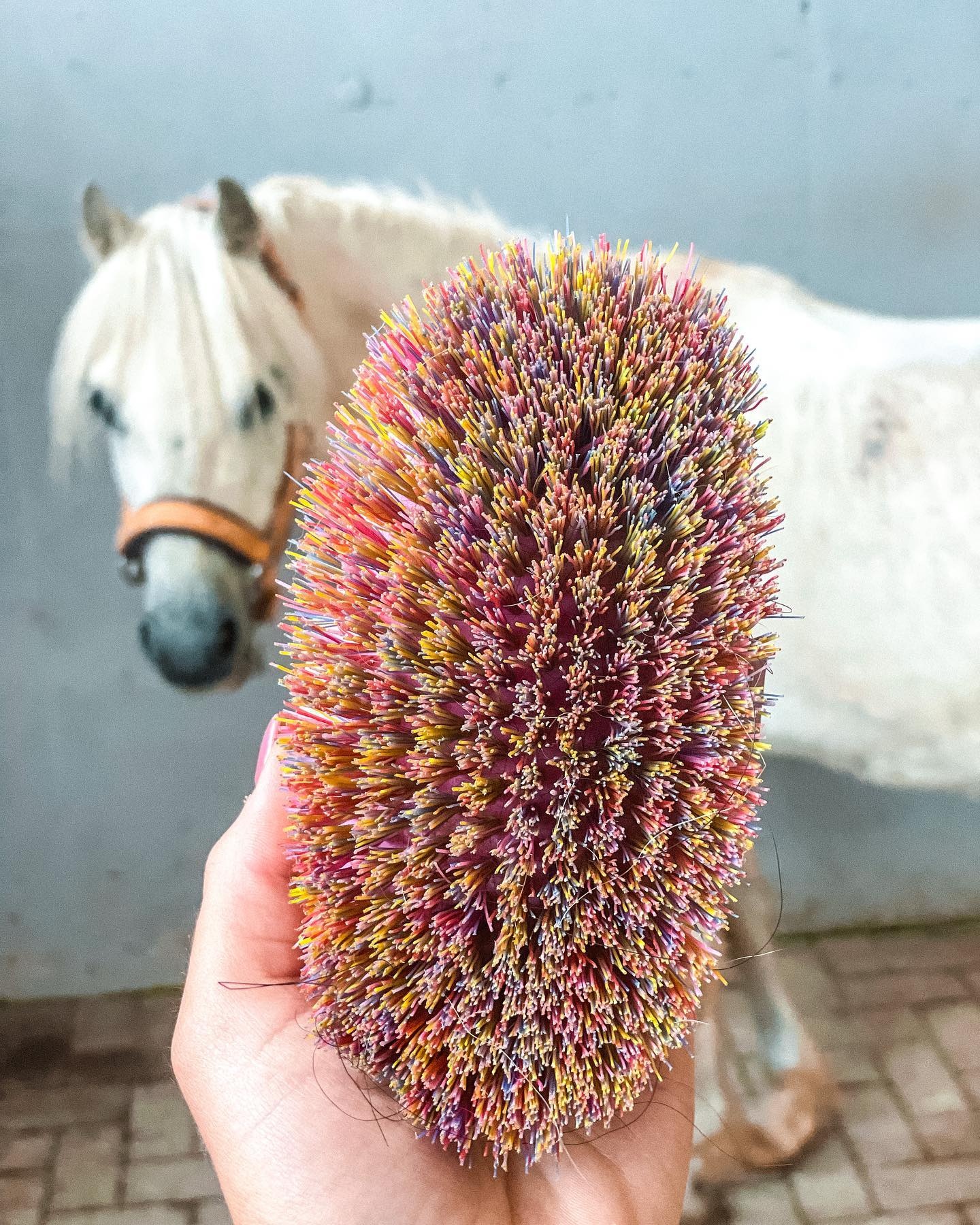 child brush firmly made from synthetic material